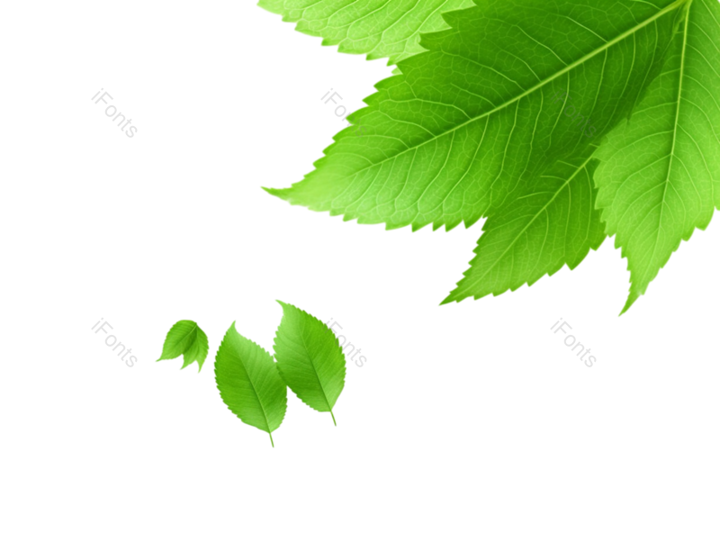 叶子图片,装饰元素,纹理PNG,元素免抠素材